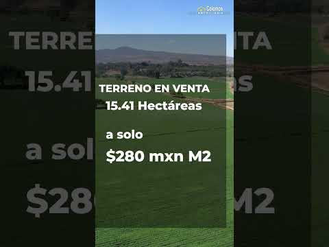 Previsualización de video