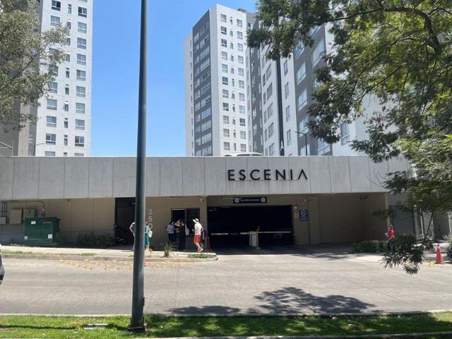Foto de la galeria de imagenes