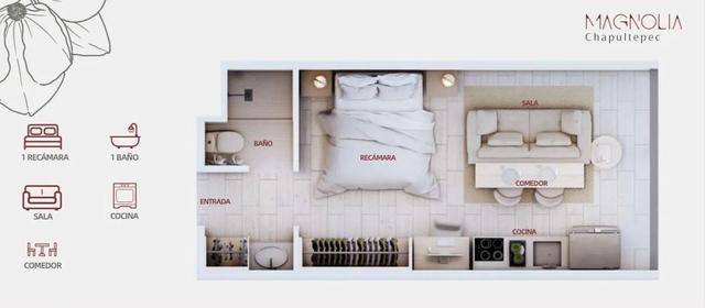 Foto de la galeria de imagenes