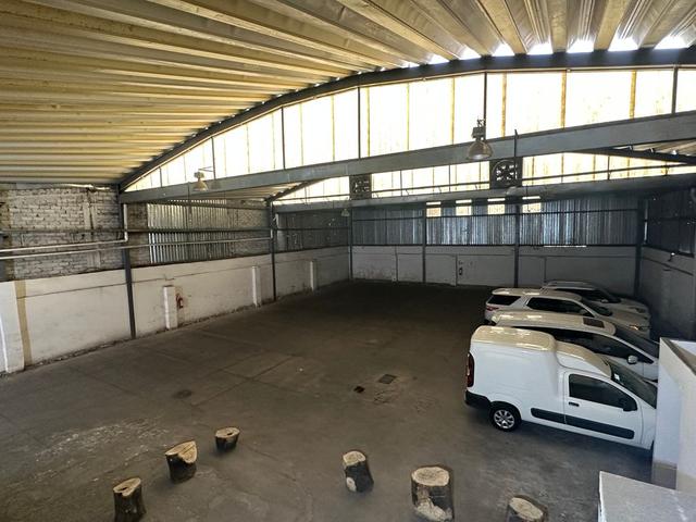 Foto de la galeria de imagenes